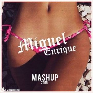 DJ Miguel Enrique - Electro & House Party Mashup