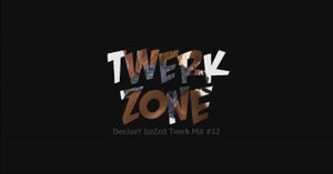 DeeJaaY IzzZzzI - #13 Twerk MiX