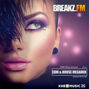 EDM & House Megamix by DJ Territo
