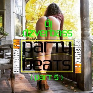 Dj Dzverbass - Party Beats Part5