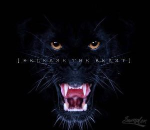 DJ Samplex - Release the Beast